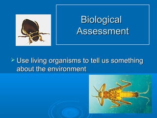 BiologicalBiological
AssessmentAssessment
 Use living organisms to tell us somethingUse living organisms to tell us something
about the environmentabout the environment
 
