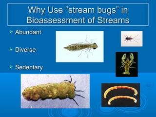 Why Use “stream bugs” inWhy Use “stream bugs” in
Bioassessment of StreamsBioassessment of Streams
 AbundantAbundant
 DiverseDiverse
 SedentarySedentary
 
