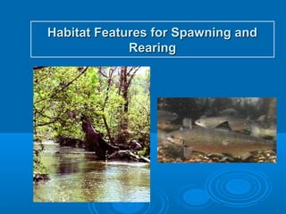Habitat Features for Spawning andHabitat Features for Spawning and
RearingRearing
 
