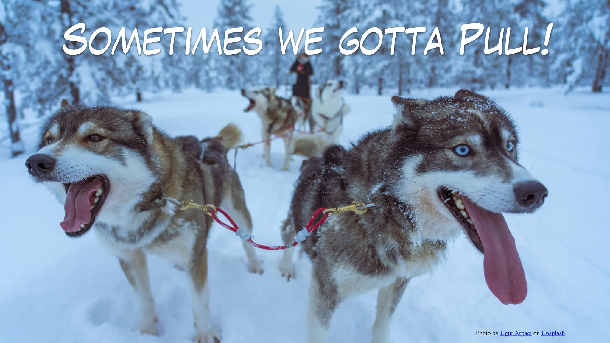 Sometimes we gotta Pull!
Photo by Ugur Arpaci on Unsplash
 