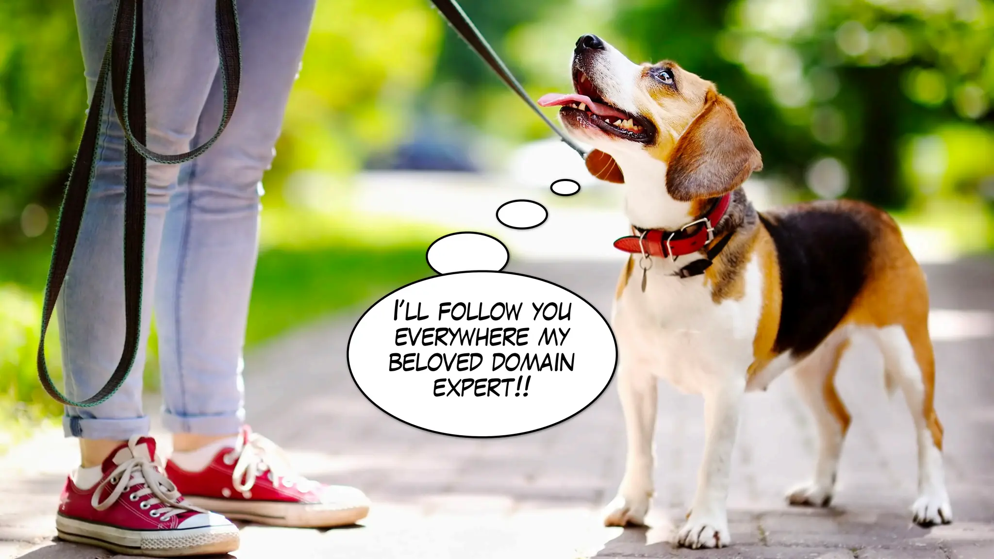 I’ll follow you
everywhere my
beloved domain
expert!!
 