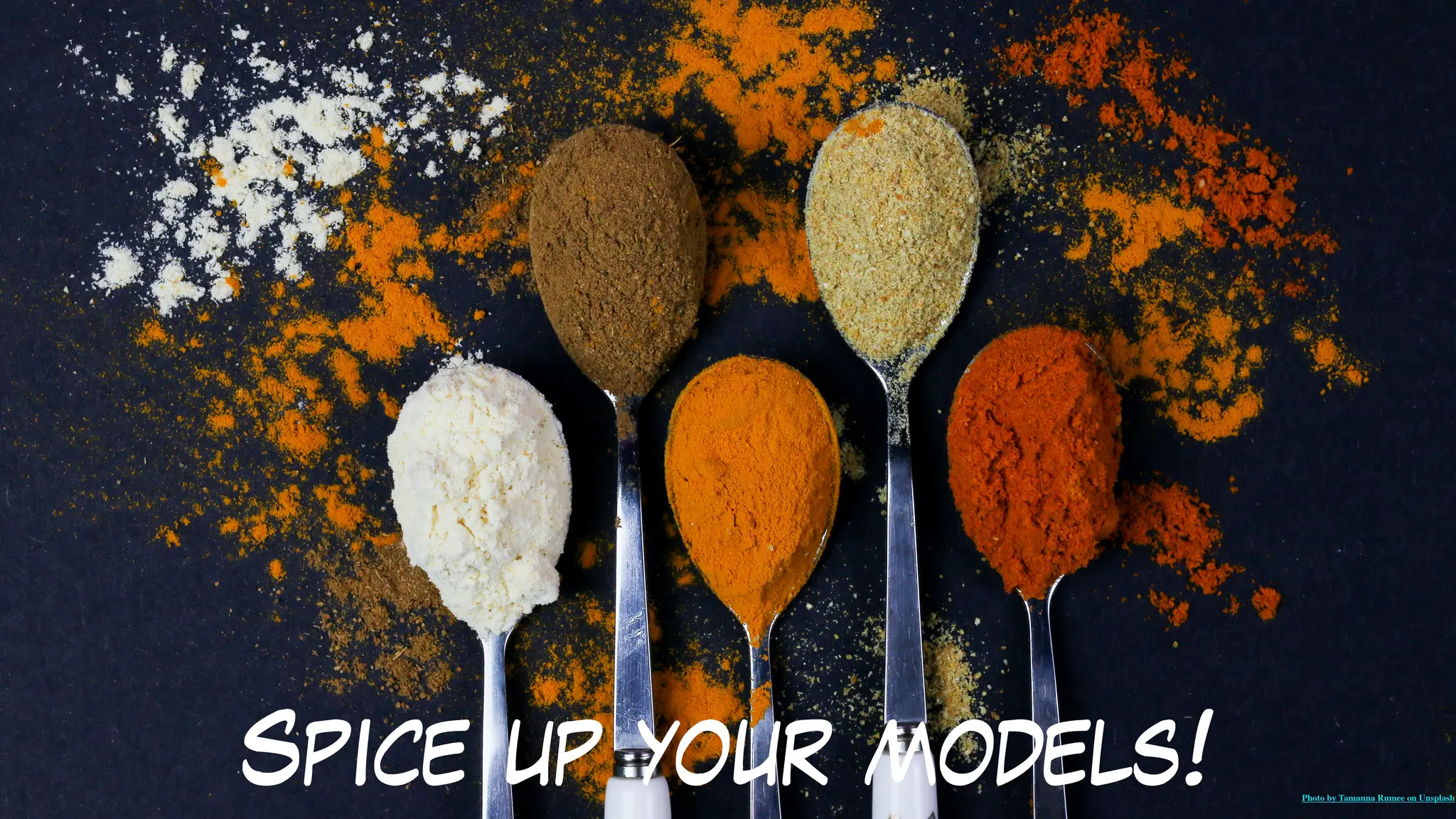 Spice up your models! Photo by Tamanna Rumee on Unsplash
 