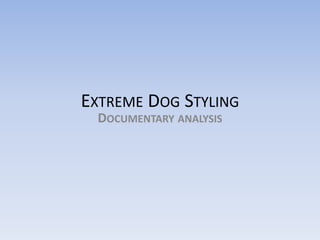EXTREME DOG STYLING 
DOCUMENTARY ANALYSIS 
 