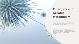 Emergence of
Aerobic
Metabolism
S i n c e l i f e w a s t o t a l l y a n a e r o b i c 2 . 7 b i l l i o n y e a r s a g o
w h e n c y a n o b a c t e r i a e v o l v e d , i t i s b e l i e v e d t h a t o x y g e n
a c t e d a s a p o i s o n a n d w i p e d o u t m u c h o f a n a e r o b i c
l i f e , c r e a t i n g a n e x t i n c t i o n e v e n t .
T h e r e l e a s e o f o x y g e n b y c y a n o b a c t e r i a w a s t h u s
r e s p o n s i b l e f o r c h a n g e s i n t h e e a r t h ’ s a t m o s p h e r i c
c o m p o s i t i o n , t h e r i s e o f a e r o b i c m e t a b o l i s m a n d ,
u l t i m a t e l y , t h e e v o l u t i o n o f m u l t i c e l l u l a r i t y . O x y g e n i s
t h e p r i m a r y m o l e c u l e t h a t m a k e s E a r t h w h a t i t i s
t o d a y , f a r m o r e h o s p i t a b l e a n d b e a u t i f u l t h a n t h e
e a r l y e a r t h . I t i s c e r t a i n l y n o e x a g g e r a t i o n t o s a y t h a t
w e o w e o u r e x i s t e n c e i n p r e s e n t f o r m t o
c y a n o b a c t e r i a .
 
