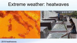 Extreme weather: heatwaves
2019 heathwaves
 