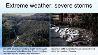 Extreme weather: severe storms
May 2018 Storms and winds up to 200 km/h brought
the ‘apocalypse’ to the Dolomites. Around 14 million
pine trees and red spruces have been razed
November 2018 Hundreds of boats were destroyed
along the coastline of Liguria
 
