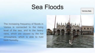 The increasing frequency of floods in
Venice is connected to the rising
level of the sea, and to the heavy
rains, which are caused by the hot
atmosphere, which is able to hold
back humidity.
Sea Floods Venice,Italy
 