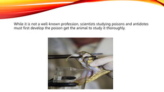 While it is not a well-known profession, scientists studying poisons and antidotes
must first develop the poison get the animal to study it thoroughly.
 