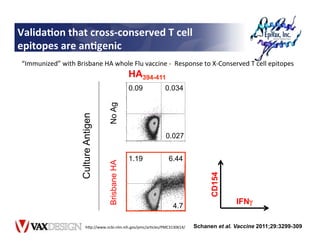Valida?on	
  that	
  cross-­‐conserved	
  T	
  cell	
  
epitopes	
  are	
  an?genic	
  
 “Immunized”	
  with	
  Brisbane	
...