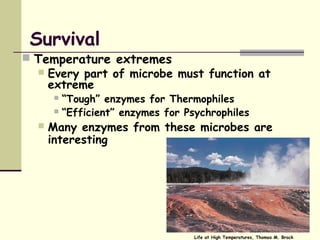 Survival
 Temperature extremes
 Every part of microbe must function at
extreme
 “Tough” enzymes for Thermophiles
 “Efficient” enzymes for Psychrophiles
 Many enzymes from these microbes are
interesting
Life at High Temperatures, Thomas M. Brock
 