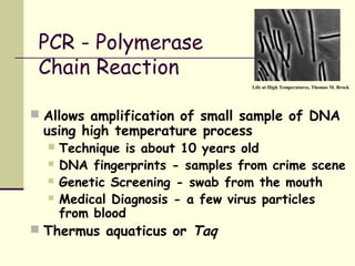 PCR - Polymerase
Chain Reaction
 Allows amplification of small sample of DNA
using high temperature process
 Technique is about 10 years old
 DNA fingerprints - samples from crime scene
 Genetic Screening - swab from the mouth
 Medical Diagnosis - a few virus particles
from blood
 Thermus aquaticus or Taq
Life at High Temperatures, Thomas M. Brock
 