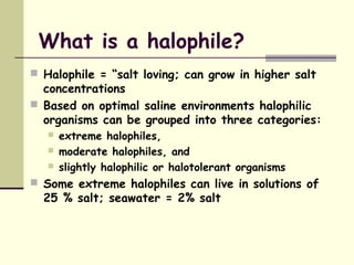 What is a halophile?
 Halophile = “salt loving; can grow in higher salt
concentrations
 Based on optimal saline environments halophilic
organisms can be grouped into three categories:
 extreme halophiles,
 moderate halophiles, and
 slightly halophilic or halotolerant organisms
 Some extreme halophiles can live in solutions of
25 % salt; seawater = 2% salt
 