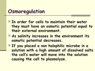Osmoregulation
 In order for cells to maintain their water
they must have an osmotic potential equal to
their external environment.
 As salinity increases in the environment its
osmotic potential decreases.
 If you placed a non halophilic microbe in a
solution with a high amount of dissolved salts
the cell’s water will move into the solution
causing the cell to plasmolyze.
 