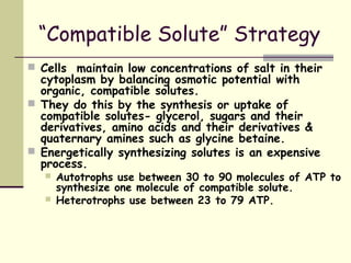 “Compatible Solute” Strategy
 Cells maintain low concentrations of salt in their
cytoplasm by balancing osmotic potential with
organic, compatible solutes.
 They do this by the synthesis or uptake of
compatible solutes- glycerol, sugars and their
derivatives, amino acids and their derivatives &
quaternary amines such as glycine betaine.
 Energetically synthesizing solutes is an expensive
process.
 Autotrophs use between 30 to 90 molecules of ATP to
synthesize one molecule of compatible solute.
 Heterotrophs use between 23 to 79 ATP.
 