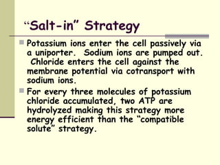 “Salt-in” Strategy
 Potassium ions enter the cell passively via
a uniporter. Sodium ions are pumped out.
Chloride enters the cell against the
membrane potential via cotransport with
sodium ions.
 For every three molecules of potassium
chloride accumulated, two ATP are
hydrolyzed making this strategy more
energy efficient than the “compatible
solute” strategy.
 