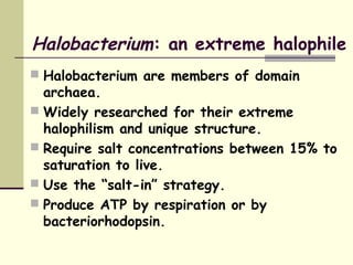 Halobacterium: an extreme halophile
 Halobacterium are members of domain
archaea.
 Widely researched for their extreme
halophilism and unique structure.
 Require salt concentrations between 15% to
saturation to live.
 Use the “salt-in” strategy.
 Produce ATP by respiration or by
bacteriorhodopsin.
 