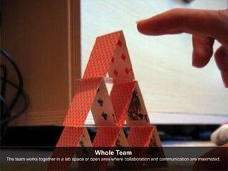 Whole Team 
The team works together in a lab space or open area where collaboration and communication are maximized. 
 