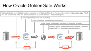 How Oracle GoldenGate Works
Capture
Trail
Files
Pump
Delivery
Trail
Files
Capture (extract): committed transactions are captured (and can be filtered) as they occur by reading the transaction logs. As of
V.11.2.1, GoldenGate offers two options for capture for Oracle; Classic & Integrated Capture
Trail: stages and queues data for routing.
Pump: distributes data for routing to target(s).
Route: data is compressed, encrypted for routing to target(s).
Delivery: applies data with transaction integrity. New with
GoldenGate 12c, Integrated Delivery (replicat).
MGRMGR
 