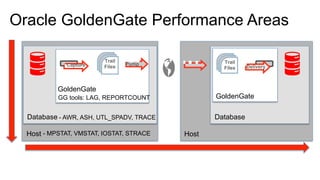 Oracle GoldenGate Performance Areas
Capture
Trail
Files
Pump Trail
Files Delivery
Host Host
Database Database
GoldenGate
GoldenGate
- MPSTAT, VMSTAT, IOSTAT, STRACE
- AWR, ASH, UTL_SPADV, TRACE
GG tools: LAG, REPORTCOUNT
 
