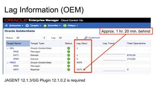 Lag Information (OEM)
Approx. 1 hr. 20 min. behind
JAGENT 12.1.3/GG Plugin 12.1.0.2 is required
 