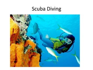 Scuba Diving

 
