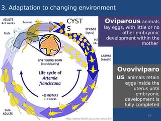Oviparous Development Job interview power Point | PDF