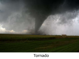 Tornado
 