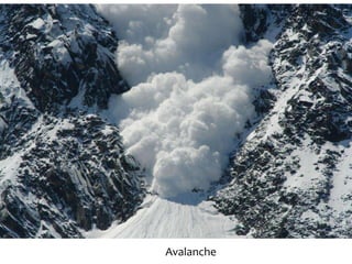 Avalanche
 