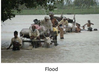 Flood
 