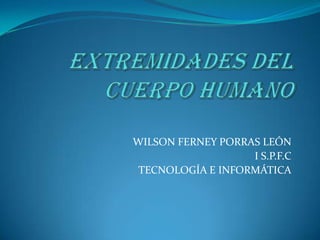 EXTREMIDADES DEL CUERPO HUMANO WILSON FERNEY PORRAS LEÓN I S.P.F.C TECNOLOGÍA E INFORMÁTICA 