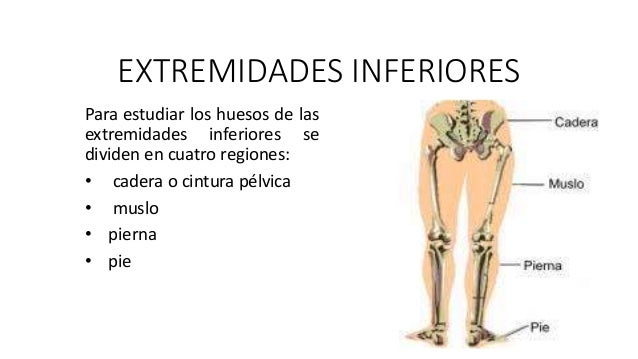 La enfermedad varicosa de los pies la gimnasia