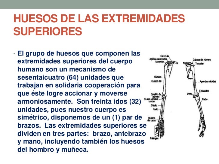 Como comienza la trombosis de las extremidades inferiores