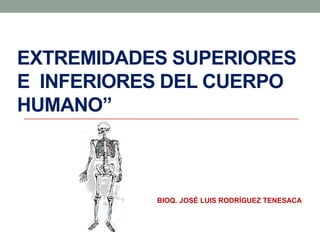 EXTREMIDADES SUPERIORES 
E INFERIORES DEL CUERPO 
HUMANO” 
BIOQ. JOSÉ LUIS RODRÍGUEZ TENESACA 
 