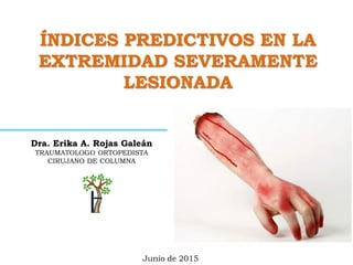 ÍNDICES PREDICTIVOS EN LA
EXTREMIDAD SEVERAMENTE
LESIONADA
Dra. Erika A. Rojas Galeán
TRAUMATOLOGO ORTOPEDISTA
CIRUJANO DE COLUMNA
Junio de 2015
 