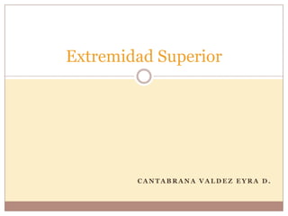Cantabrana Valdez Eyra d. Extremidad Superior 