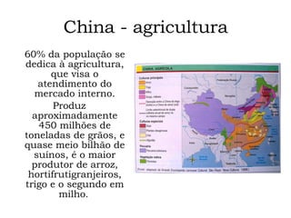 China - agricultura 60% da população se dedica à agricultura, que visa o atendimento do mercado interno. Produz aproximadamente 450 milhões de toneladas de grãos, e quase meio bilhão de suínos, é o maior produtor de arroz, hortifrutigranjeiros, trigo e o segundo em milho .  