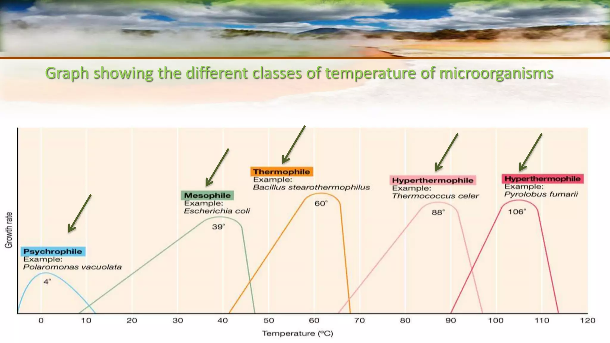 Extremophile | PPTX