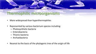 Thionic Extremophile | PPTX