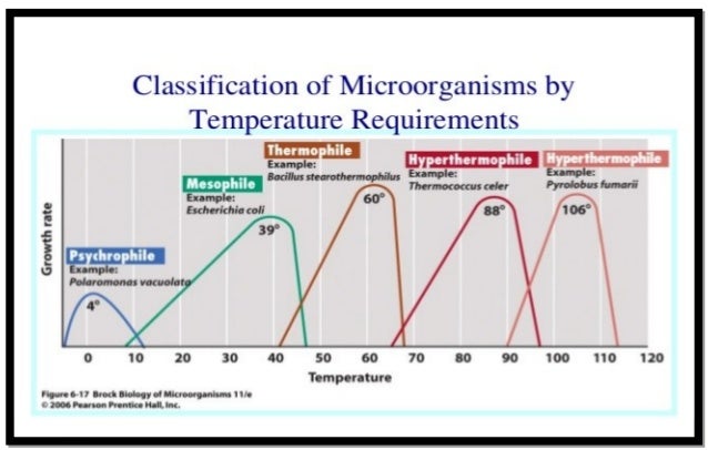 Extremophiles