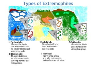 Types of Extremophiles
Types of Extremophiles
 