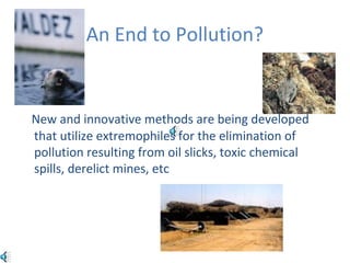 An End to Pollution?
New and innovative methods are being developed
that utilize extremophiles for the elimination of
pollution resulting from oil slicks, toxic chemical
spills, derelict mines, etc
 