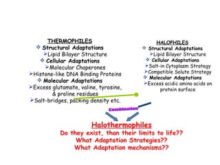 THERMOPHILES
 Structural Adaptations
Lipid Bilayer Structure
 Cellular Adaptations
Molecular Chaperones
Histone-like DNA Binding Proteins
 Molecular Adaptations
Excess glutamate, valine, tyrosine,
& proline residues
Salt-bridges, packing density etc.
HALOPHILES
 Structural Adaptations
Lipid Bilayer Structure
 Cellular Adaptations
Salt-in Cytoplasm Strategy
Compatible Solute Strategy
 Molecular Adaptations
Excess acidic amino acids on
protein surface
Halothermophiles
Do they exist, than their limits to life??
What Adaptation Strategies??
What Adaptation mechanisms??
 