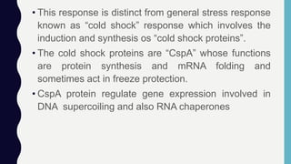 • This response is distinct from general stress response
known as “cold shock” response which involves the
induction and synthesis os “cold shock proteins”.
• The cold shock proteins are “CspA” whose functions
are protein synthesis and mRNA folding and
sometimes act in freeze protection.
• CspA protein regulate gene expression involved in
DNA supercoiling and also RNA chaperones
 