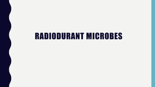 RADIODURANT MICROBES
 