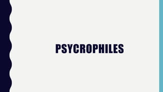 PSYCROPHILES
 