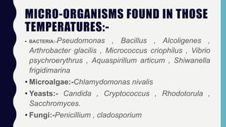 MICRO-ORGANISMS FOUND IN THOSE
TEMPERATURES:-
• BACTERIA:-Pseudomonas , Bacillus , Alcoligenes ,
Arthrobacter glacilis , Micrococcus criophilus , Vibrio
psychroerythrus , Aquaspirillum articum , Shiwanella
frigidimarina
• Microalgae:-Chlamydomonas nivalis
• Yeasts:- Candida , Cryptococcus , Rhodotorula ,
Sacchromyces.
• Fungi:-Penicillium , cladosporium
 