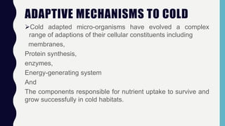 ADAPTIVE MECHANISMS TO COLD
Cold adapted micro-organisms have evolved a complex
range of adaptions of their cellular constituents including
membranes,
Protein synthesis,
enzymes,
Energy-generating system
And
The components responsible for nutrient uptake to survive and
grow successfully in cold habitats.
 