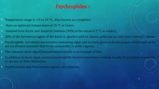 • Temperature range is -15 to 15 °C , Also known as cryophiles.
• Have an optimum temperature of 15 °C or lower .
• Isolated from Arctic and Antarctic habitats (90% of the ocean is 5 °C or colder).
• 20% of the terrestrial region of the Earth is, glaciers and ice sheets, polar sea ice and snow covered regions.
• Psychrophilic microbial communities containing algae and bacteria grow in dense masses within and under
sea ice (frozen seawater that forms seasonally) in polar regions.
• The common snow alga Chlamydomonas nivalis is an example of this.
• In addition to snow algae, several psychrophilic bacteria have been isolated, mostly from marine sediments
or sea ice, or from Antarctica.
• Psychromonas and Polaromonas species are common.
Psychrophiles :-
11
 