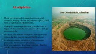 • These are extremophilic microorganisms which
thrives in roughly alkaline environments (8-11), and
have an optimum of pH around 10.
• Alkaliphilic microorganisms are typically found in
highly alkaline habitats, such as soda lakes and high-
carbonate soils.
• The most well-studied alkaliphilic prokaryotes are
certain Bacillus species, such as Bacillus firmus.
• Ex.-Halorhodospira halochloris , Natronomonas
pharaonis , Thiohalospira alkaliphila ,
Ectothirorhodospira , Bacillus alcalophilus ,Bacillus
subtilis , Bacillus pseudofirmus etc.
Alcaliphiles:-
17
 