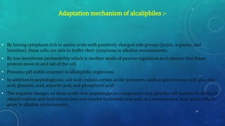 • By having cytoplasm rich in amino acids with positively charged side groups (lysine, arginine, and
histidine), these cells are able to buffer their cytoplasm in alkaline environments.
• By low membrane permeability which is another mode of passive regulation as it ensures that fewer
protons move in and out of the cell.
• Presence pH stable enzymes in alkaliphilic organisms.
• In addition to peptidoglycan, cell wall contain certain acidic polymers, such as galacturonic acid, gluconic
acid, glutamic acid, aspartic acid, and phosphoric acid.
• The negative charges on these acidic non-peptidoglycan components may give the cell surface its ability to
adsorb sodium and hydronium ions and repulse hydroxide ions and, as a consequence, may assist cells to
grow in alkaline environments.
Adaptation mechanism of alcaliphiles :-
18
 